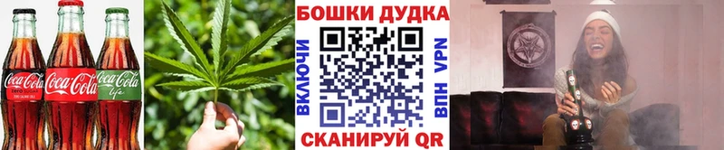 закладки  Елизаветинская  Cannafood конопля 