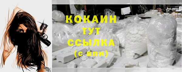 MESCALINE Бородино